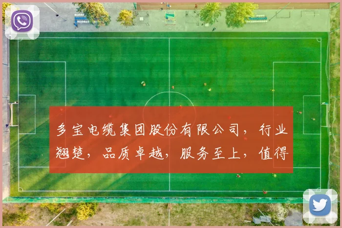 多宝电缆集团股份有限公司，行业翘楚，品质卓越，服务至上，值得信赖，电缆专家。