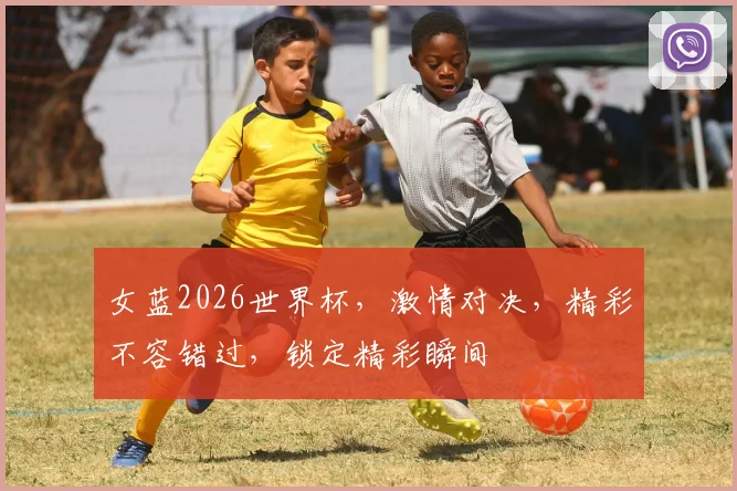 女蓝2026世界杯，激情对决，精彩不容错过，锁定精彩瞬间