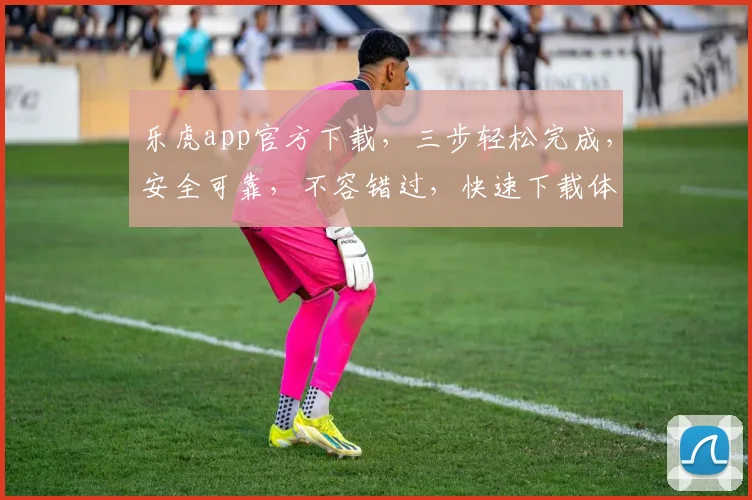 乐虎app官方下载，三步轻松完成，安全可靠，不容错过，快速下载体验